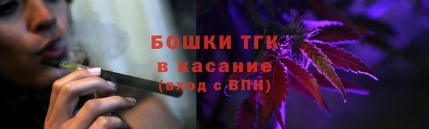 твердый Богородицк